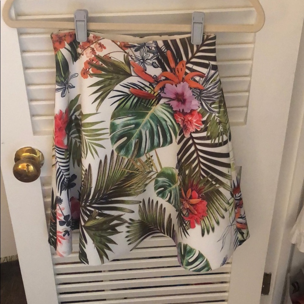 Clover Canyon Skirt